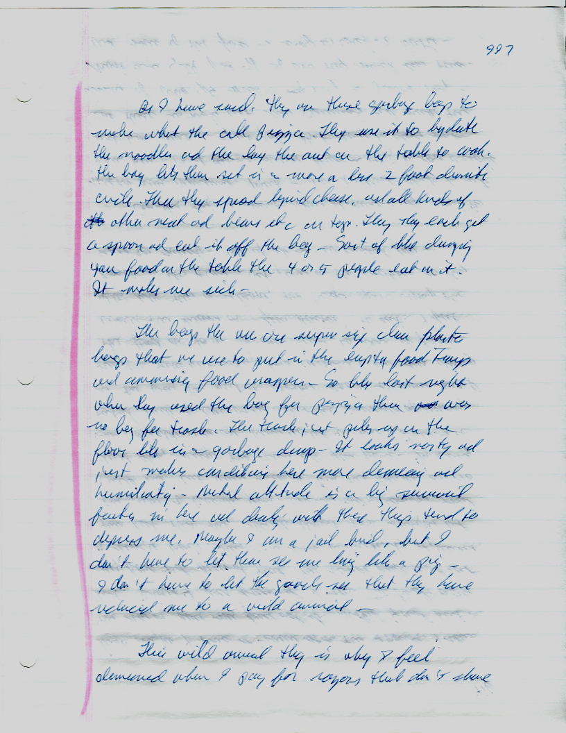 Dr John WorldPeace 2008 Prison Journal